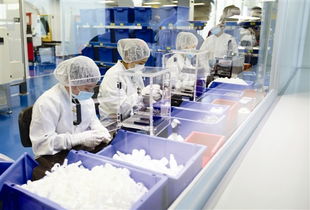 望牛墩每年投千萬助企業倍增，辦公用品行業迎發展新機遇